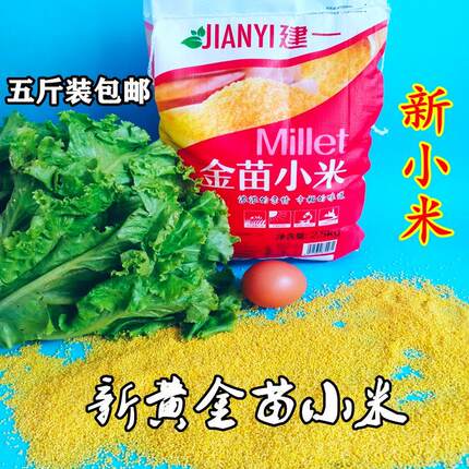 建一黄金苗黄小米新米小黄米做月子的小米食用吃的小米粥五谷杂粮
