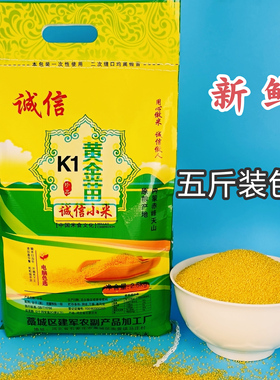 小黄米新米早餐食用吃的小米粥小颗粒黄金苗黄小米新米五谷杂粮