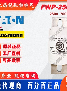 FWP-250A保险丝 700V 250A 巴斯曼BUSSMANN熔断器