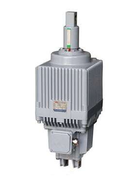 优势供应  德国  Elma  S220-240 V   超声波清洗机  原装进口