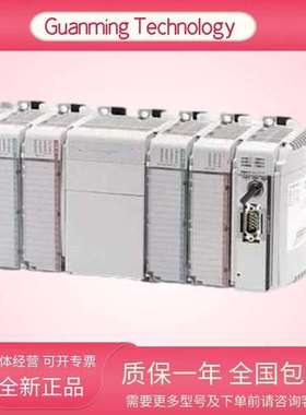 1769-IF4FXOF2F 美国 输入/出模块 工业级电气设备 原厂全新/