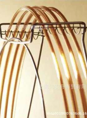 赛默飞260M238P Thermo反式脂肪酸专用柱TR-FAME GC Column色谱柱