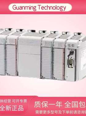 1761-L32BWB 美国 24点控制器 工业电气设备 原厂全新/