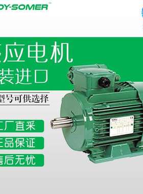 德国 LEROY SOMER 感应电机 多型号可询 LS P系列