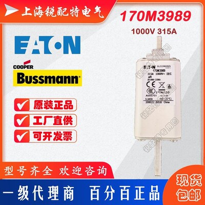 170M3989快速熔断器 1000V 315A 巴斯曼BUSSMANN快速熔断器