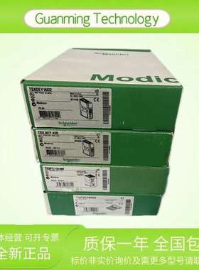 170ADI34000 模块 PLC 法国 SHNEIDER 模拟量输入  逻辑控制器