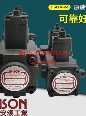 ANSON安颂PVDF2-B/C/D70-B20/C35/D70/20/35/55/70-15S双联叶片泵