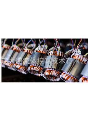 捷克emp-slavkov电动泵4CZA2