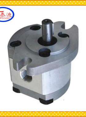 1GG1P01R齿轮泵 微型齿轮泵 小排量齿轮泵