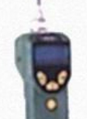 美国华瑞RAE便携式MiniRAE Lite单一VOC气体检测仪PGM-7300