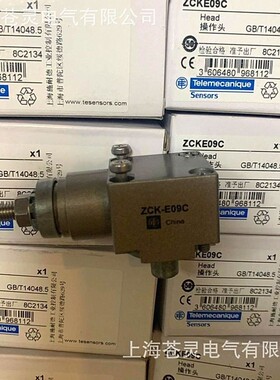 代理行程开关ZCK-E09C