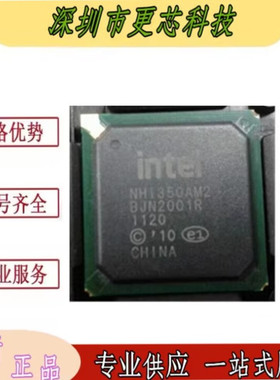 NHI350AM2 NH1350AM2 NHI350AM4 NH1350AM4 封装BGA千兆网卡芯片