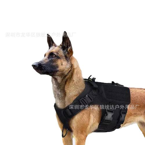 背心套装狗衣训练激光眼镜蛇作战