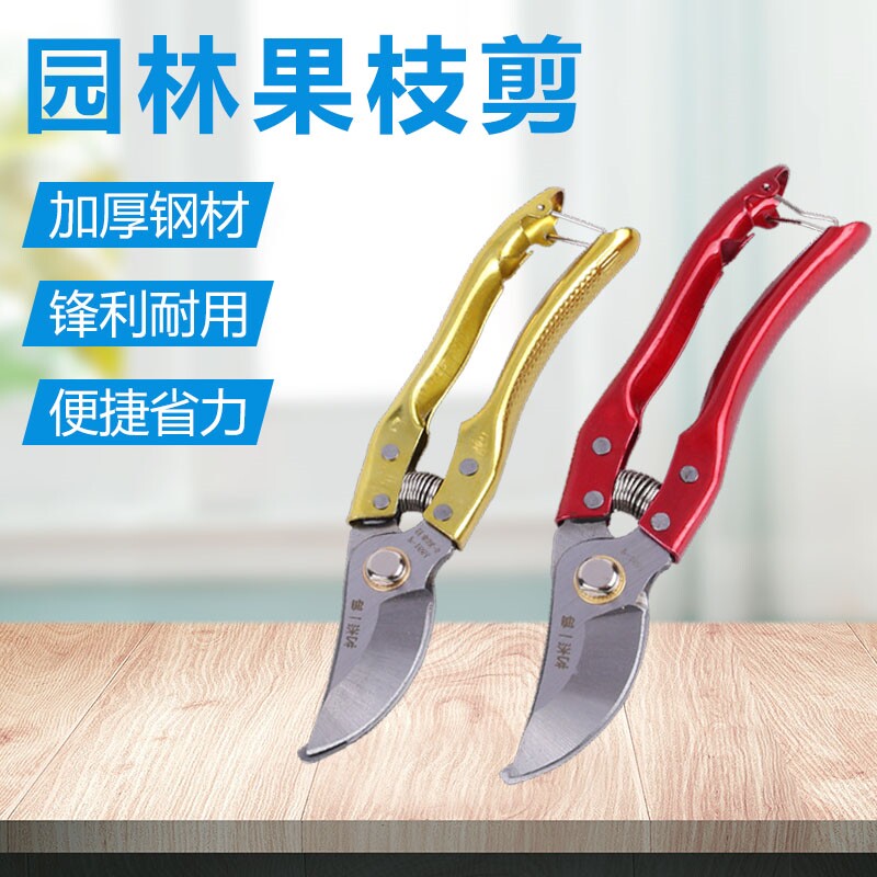 花艺多功能强力修枝修剪果树剪刀图片