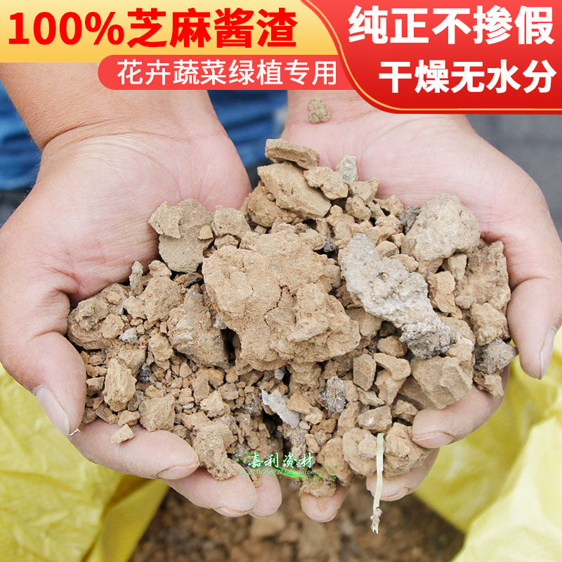 香油渣子芝麻饼肥料花卉蔬菜盆景图片