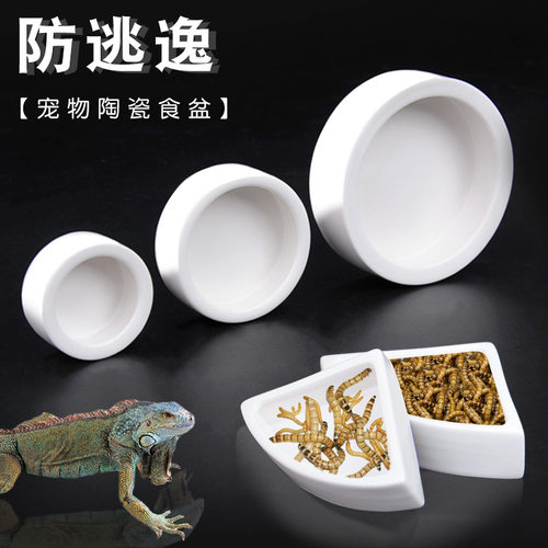 爬宠陶瓷防活食面包虫大麦虫逃逸