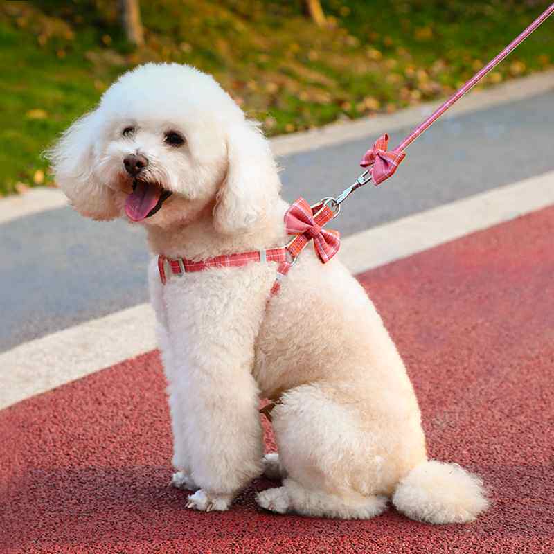 宠物胸背带大格子蝴蝶结狗链子中小型狗绳蝴蝶结狗链子宠物牵引绳