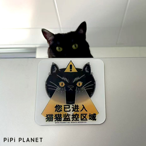 原创设计您已进入猫猫监控区域