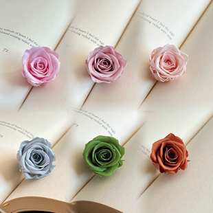 佐薇A级2 3cm迷你多头玫瑰永生花手作淡粉浅紫花材不凋花diy一朵