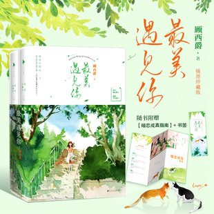 预定正版 最美遇见你（插图珍藏版）顾西爵著 青春的年华里，他们彼此遇见，便是此生美丽的事 校园文白月光 全二册 青春小说
