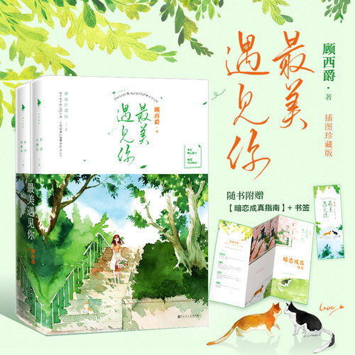 预定正版 最美遇见你（插图珍藏版）顾西爵著 青春的年华里，他们彼此遇见，便是此生美丽的事 校园文白月光 全二册 青春小说