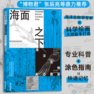 现货正版 海面之下：海洋生物形态图鉴 托马斯·M. 尼 著 海峡书局 9787556711857