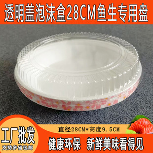 横县鱼生专用圆形28CM透明盖泡沫盘刺身三文鱼姿造保鲜外卖包装盒