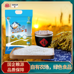 光明谷锦海丰冰鲜米大米5kg10斤2024年当季新米袋装