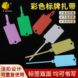 可定制一体式挂签塑料吊牌记号标签扎带彩色标牌可重复使用分类