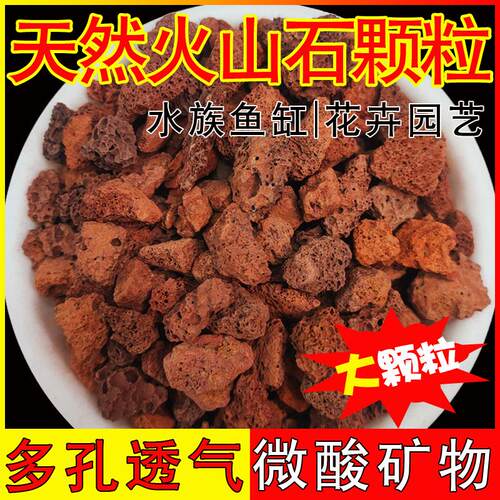 天然火山岩造景多肉兰花石专用