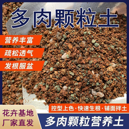 多肉植物专用颗粒土进口泥炭椰糠小苗肉肉通用型肉肉透气营养花土