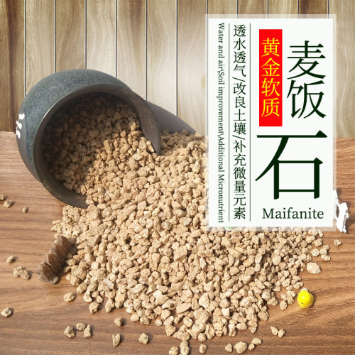 多肉植物颗粒黄金软质小号种植