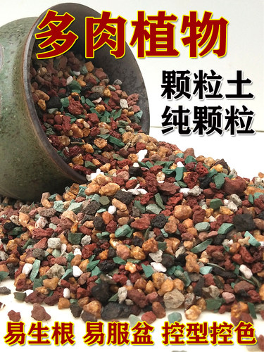 多肉专用颗粒营养土植物透气泥炭