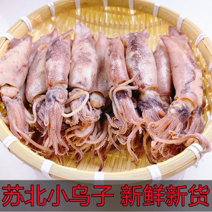 【新货】苏北小乌子干货乌贼鱼墨鱼仔半干野生大海兔管鱼海鲜包邮