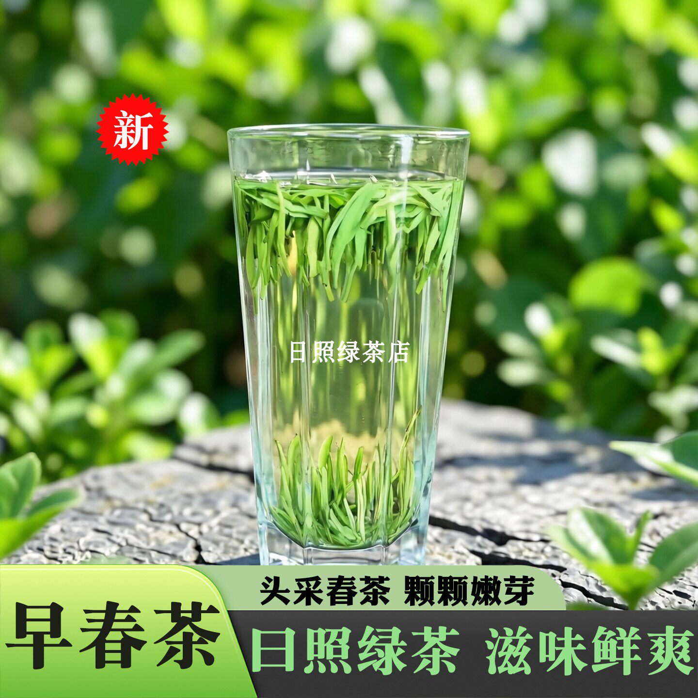 日照绿茶2026新茶叶明前春日照绿茶银针特级板栗豆香散装礼盒500g