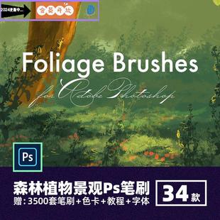 森林植物景观Ps笔刷树叶木草丛苔藓灌木园林场景环境手绘漫画素材
