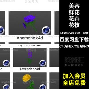 花卉鲜花植物花朵郁金香花枝仙人球菊花绣球花C4D模型FBX素材OBJ