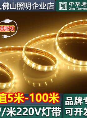 佛山照明led灯带220V室内外氛围灯条户外防水线形光带超亮
