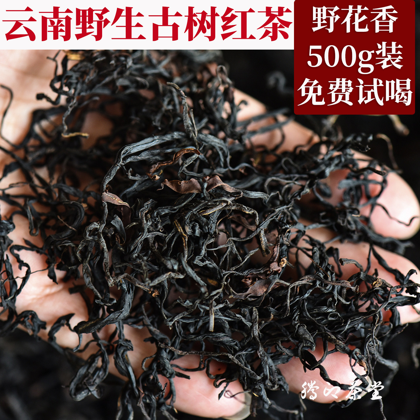 2026年新茶云南野生古树红茶浓香型高山荒野红茶散装滇红茶叶500g