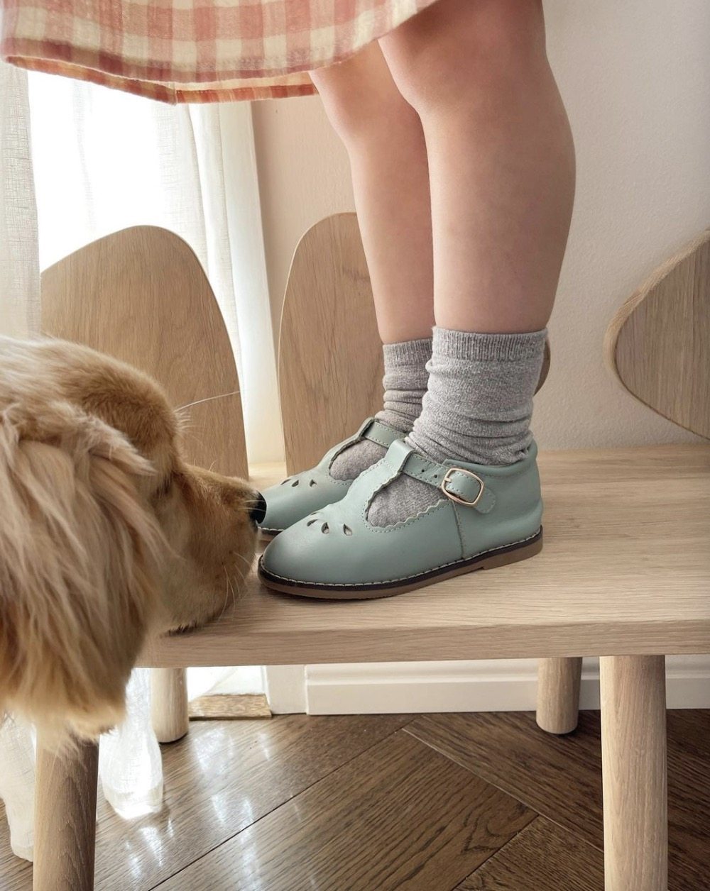 澳洲anchor and fox 22春夏新款t-bar 镂空t字带皮鞋 国现