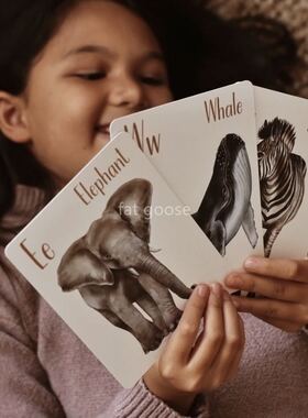 部分国现｜澳洲Modern monty唯美手绘早教动物字母闪卡拼图幼儿