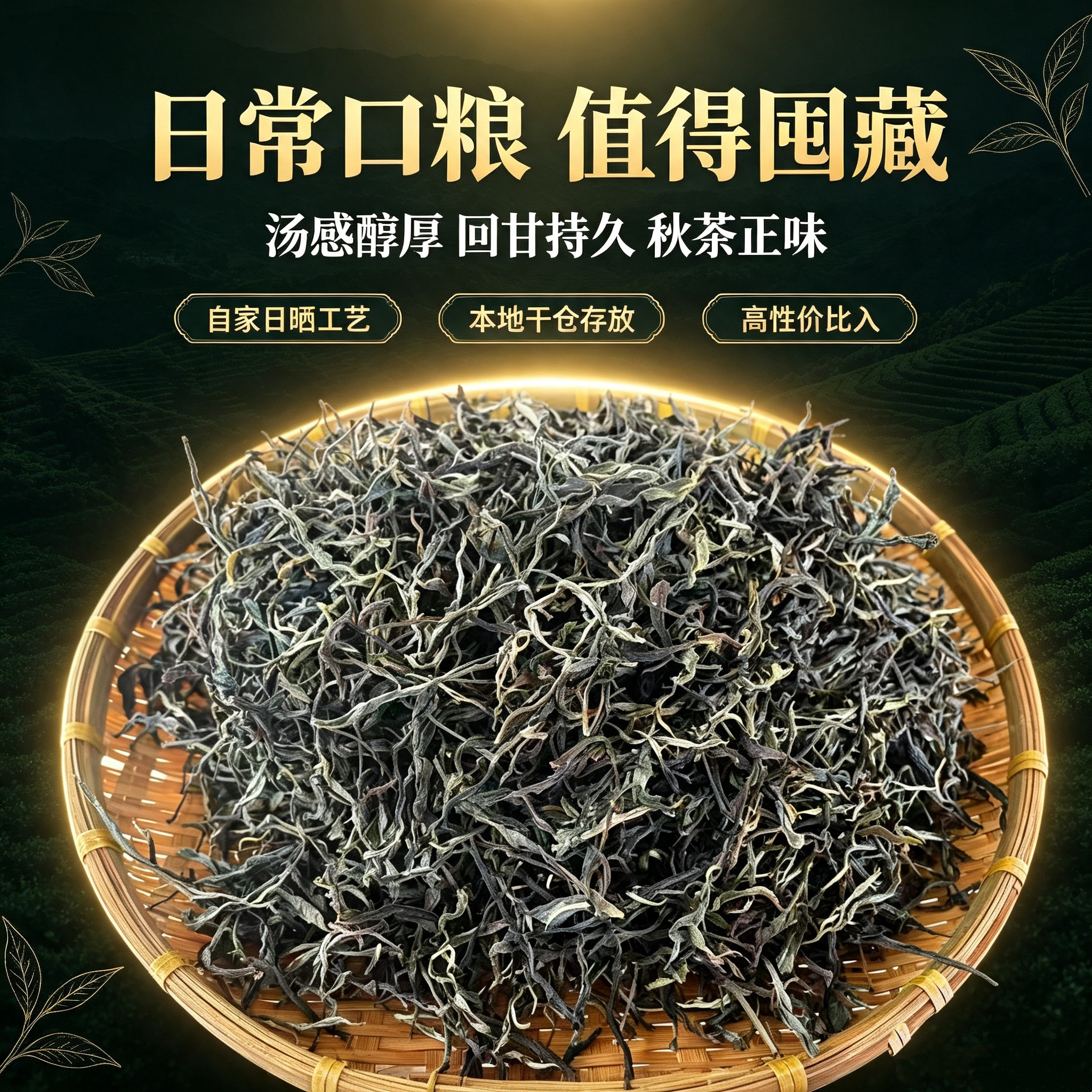 2025年云南普洱茶生茶秋茶大普洱