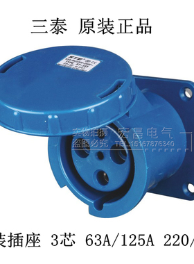 STE三泰 ST-333/343工业插头插座63A/125A 3芯暗装直插式插座380V