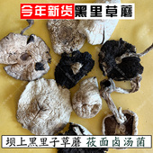 一斤野生黑草蘑干货草蘑黑蘑菇松树伞蘑菇食用菌新货干货500克
