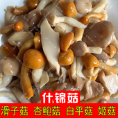 什锦菇滑子菇杏鲍菇姬菇白平菇混装 杂菌含水袋装 火锅煲汤爆炒凉拌