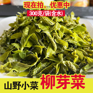 柳树芽 柳芽 非新鲜柳蒿芽 柳芽菜 山野菜 袋装含水凉拌蒸煮均可