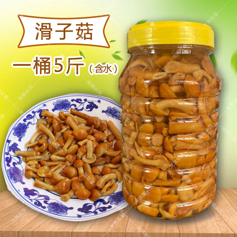 5斤含水滑菇滑子菇 滑菇罐头非新鲜滑子蘑滑子菇珍珠菇涮炒拌煲汤