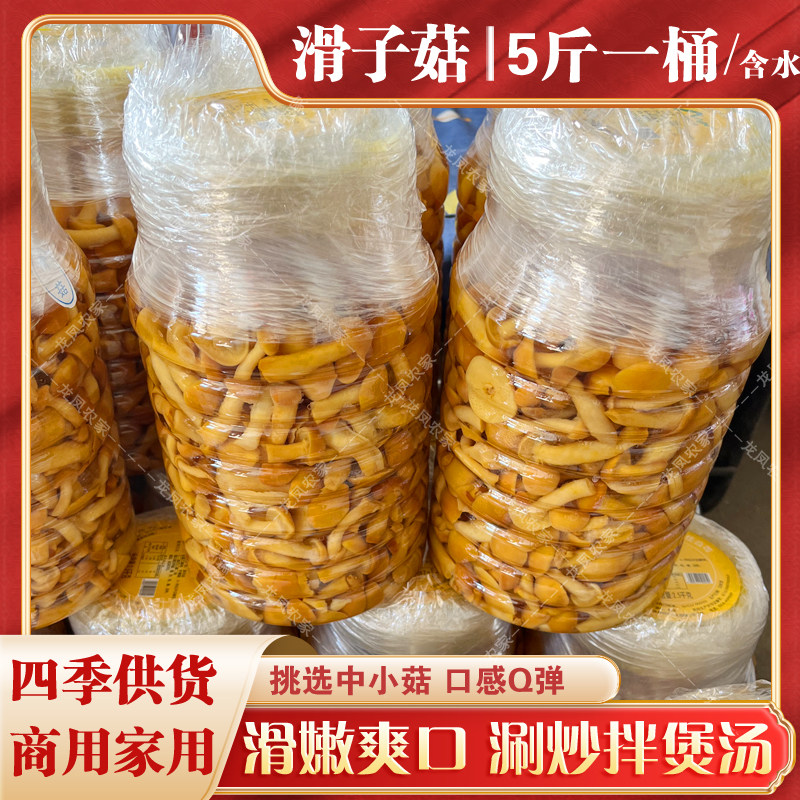 5斤含水滑子菇 滑菇新鲜口感滑子蘑 桶装商用家用酒店食材炒煲汤