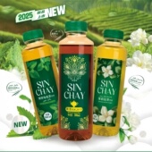 SINCHAY黑茶薄荷乌龙茶茉莉花茶饮料500ml瓶装 饮品 无糖调味茶夏季