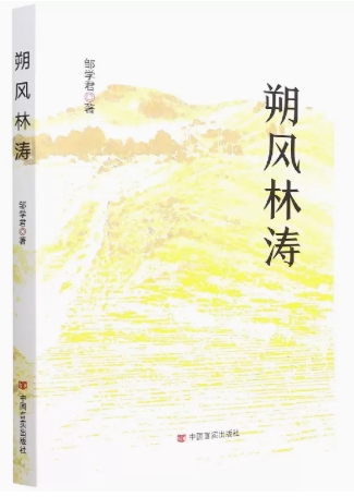 【快速发货】朔风林涛 邹学君 9787517138938 中国言实出版社天诺书源